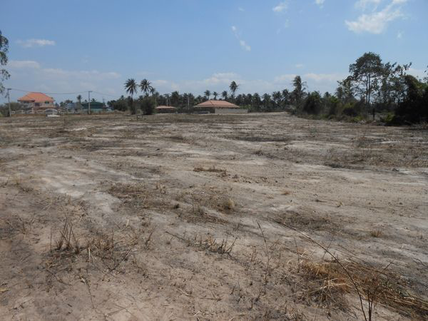 Land for Sale Factory